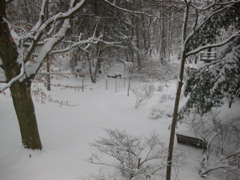 IMG_2115.JPG