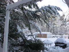 IMG_2146.JPG