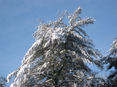 IMG_2148.JPG