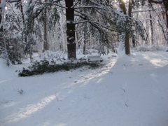 IMG_2149.JPG