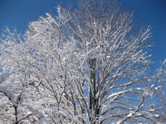 IMG_2152.JPG