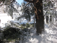 IMG_2157.JPG