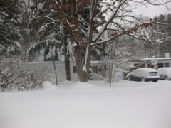 IMG_2118.JPG