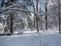 IMG_2158.JPG