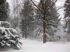 IMG_2120.JPG