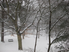 IMG_2135.JPG