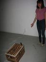 img_5371