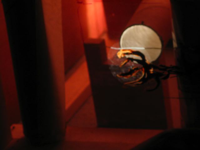 img_5383.jpg