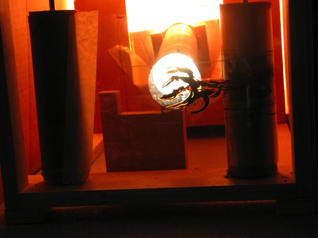 img_5384.jpg