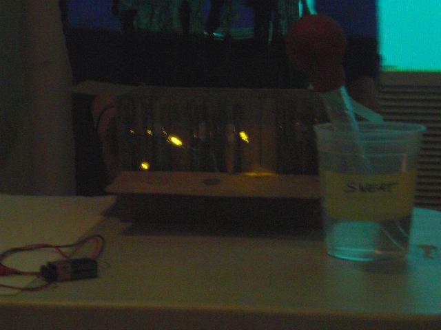 po20090401_0017.jpg