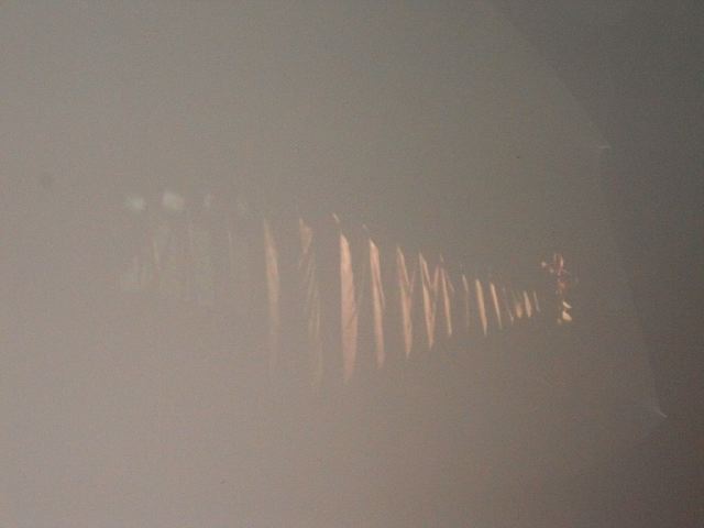dscn2494.jpg