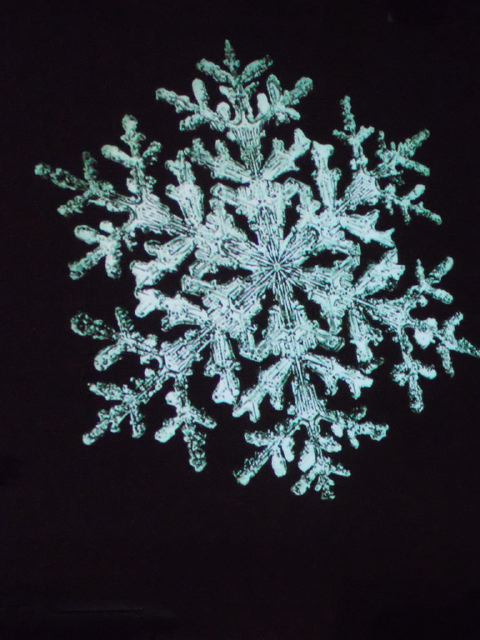 dscn0049.jpg