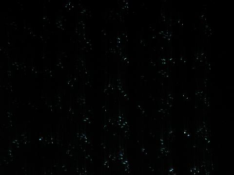 dscn2322.jpg