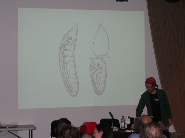 img_8947.jpg