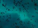 po20100902_0014