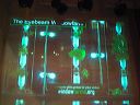 po20091105_0023